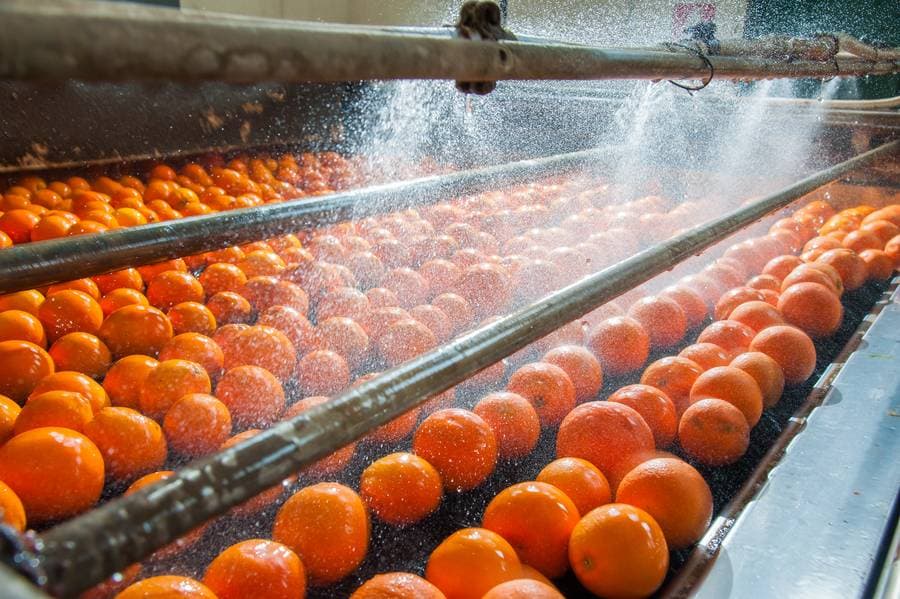 Food processing
